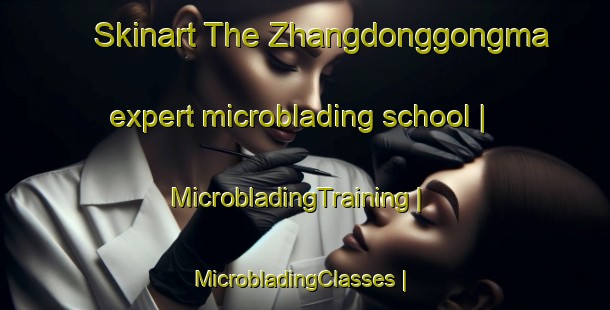 Skinart The Zhangdonggongma expert microblading school | MicrobladingTraining | MicrobladingClasses | SkinartTraining-China